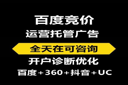 专业竞价SEM托管成功案例解析